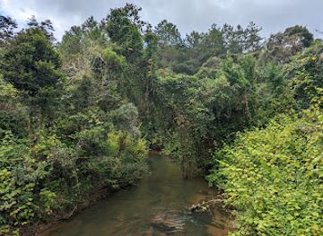 madagascar/andasibe/landmark/reserve-speciale-d-analamazoatra