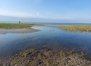 estonia/soomaa-national-park/landmark/may-bird-watching-tower