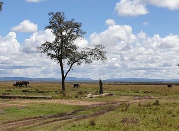 tanzania/rift-valley/landmark/mara-triangle