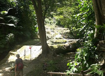 vanuatu/port-vila/landmark/freshwota-park