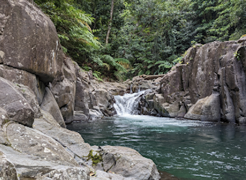 dominica/emerald-pool/landmark/chaudiere-pool