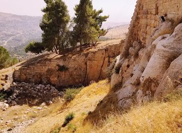 jordan/northern-jordan-valley/landmark/ajloun-castle