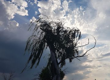 south-africa/highveld/landmark/boskop-dam-nature-reserve