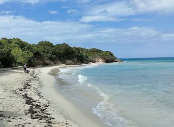 antigua-and-barbuda/half-moon-bay/landmark/bush-bay