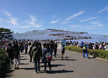 japan/hitachi/landmark/miharashi-no-oka