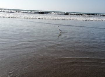 chile/coquimbo-region/landmark/penuelas