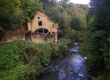 united-kingdom/newcastle-upon-tyne/jesmond/attraction/jesmond-dene-quarry