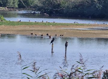 belgium/de-haan/landmark/de-kleiputten-van-wenduine