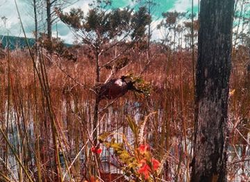 indonesia/highlands-papua/landmark/mologiggah