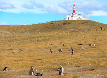 argentina/central-patagonia/landmark/los-pinguinos-natural-monument