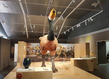 australia/alice-springs/landmark/megafauna-central