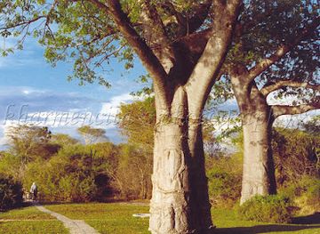 malawi/mangochi/landmark/liwonde-national-park