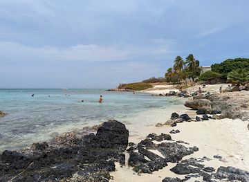 aruba/eagle-beach/landmark/boca-catalina-beach
