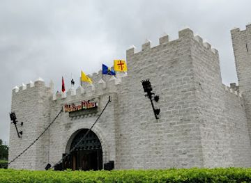 florida/gold-coast/landmark/medieval-times-dinner-tournament