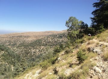 Horsh Ehden