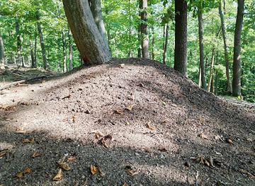 czechia/brno/brno-bystrc/landmark/mravenci-kralovstvi