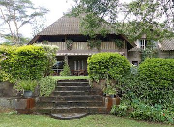 kenya/naivasha/landmark/dea-s-gardens