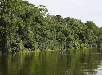 costa-rica/tortuguero-national-park/landmark/tortuguero-national-park-cuatro-esquinas-sector