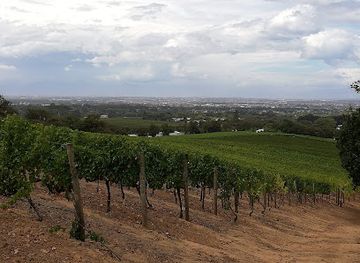 south-africa/cape-town/constantia/landmark/groot-constantia-bath