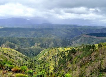 south-africa/overberg/landmark/diepwalle-forest