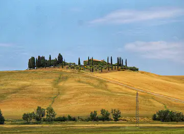Quercia delle Checche