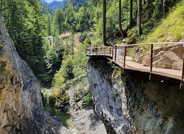 austria/dornbirn/landmark/rappenlochschlucht