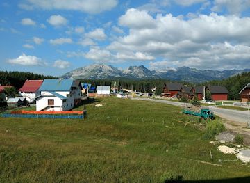 montenegro/zabljak/landmark/zlatni-bor