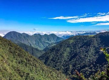 ecuador/mindo-cloud-forest/landmark/casa-verde-raw-hiking-yoga-retreats-in-ecuador