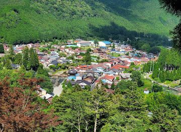 japan/mikawa/landmark/menfudo-shonyudo