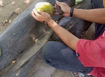 indonesia/south-kalimantan/landmark/bangku-kah