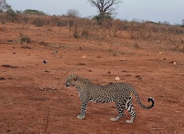 kenya/tsavo-region/landmark/rhino-sanctuary