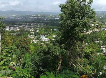 puerto-rico/sierra-de-cayey/landmark/terra-cayey