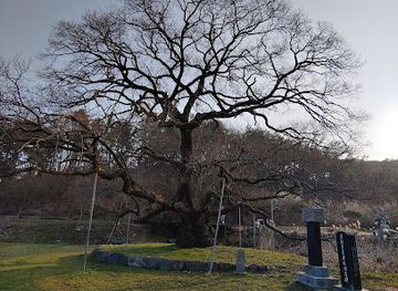 south-korea/gwangju/landmark/gwaegojeongsu