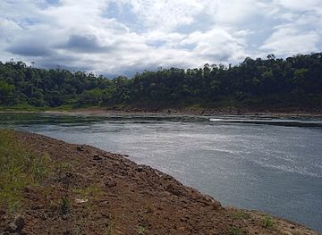 paraguay/northern-paraguay/landmark/museo-moises-bertoni