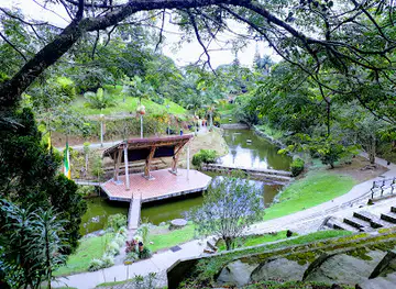 Vida Park