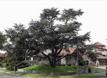 argentina/mar-del-plata/los-troncos/landmark/casco-chalet-los-troncos