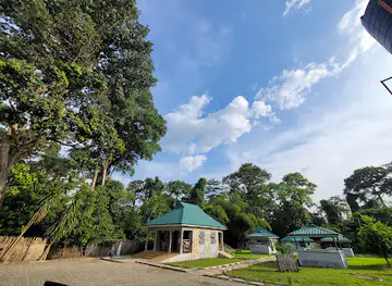 Tafi Atome Monkey Sanctuary And Cultural Village