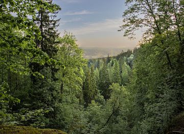 latvia/teici-nature-reserve/landmark/raganu-katls