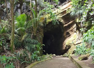 saint-vincent-and-the-grenadines/saint-george/landmark/black-point-tunnel