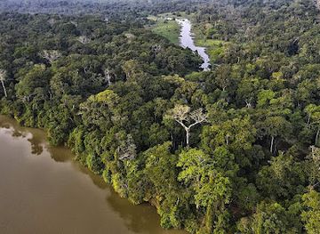 central-african-republic/dzanga-ndoki-national-park/landmark/manovo-gounda-saint-floris-national-park