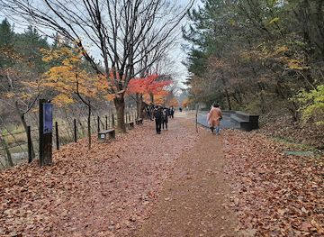 south-korea/yeongdong-region/landmark/kyeryongsan-sutonggol-district-national-park
