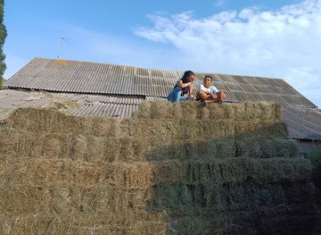 armenia/shikahogh-state-reserve/landmark/anush-tatianc