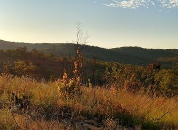 missouri/great-plains/landmark/mark-twain-national-forest