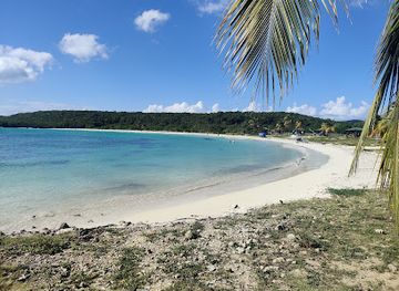 puerto-rico/vieques-island/landmark/vieques-national-wildlife-refuge