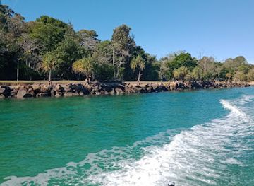 australia/noosa/landmark/doggy-beach