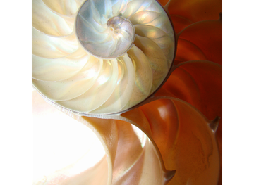 kansas/garden-city/landmark/the-shift-center