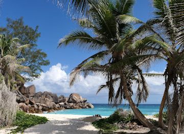 seychelles/la-digue-island/landmark/grand-anse-beach