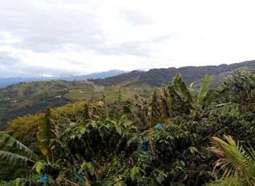 colombia/coffee-axis/landmark/paisaje-cultural-cafetero