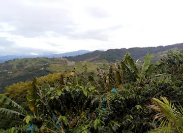 Paisaje Cultural Cafetero