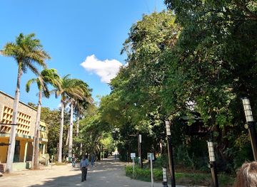 mexico/chiapas/tuxtla-gutierrez/landmark/calzada-de-las-personas-ilustres